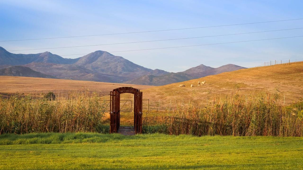 Endless Vineyards At Wildekrans Wine Estate Konuk evi Botrivier Dış mekan fotoğraf