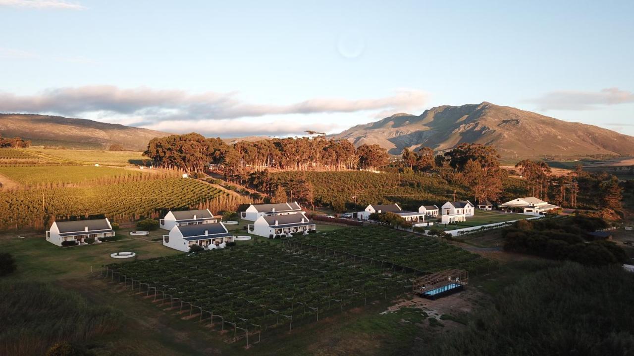 Endless Vineyards At Wildekrans Wine Estate Konuk evi Botrivier Dış mekan fotoğraf