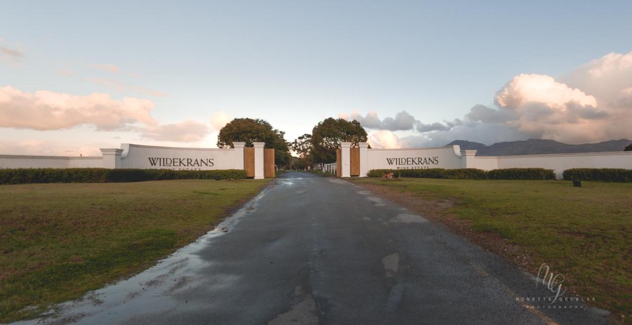 Endless Vineyards At Wildekrans Wine Estate Konuk evi Botrivier Dış mekan fotoğraf