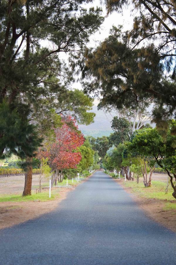 Endless Vineyards At Wildekrans Wine Estate Konuk evi Botrivier Dış mekan fotoğraf